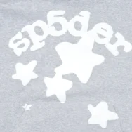 Sp5der Beluga Hoodie Heather Grey 2 | dripheat.com