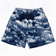 Eric Emanuel EE Basic Shorts Navy Sky