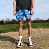 Eric Emanuel EE Basic Shorts Sky - Image 2