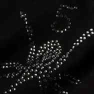 Sp5derTM Rhinestone TeeBlack - Image 3