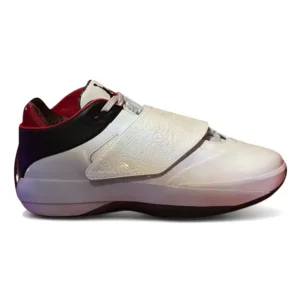 Air Jordan 40/20 Hybrid