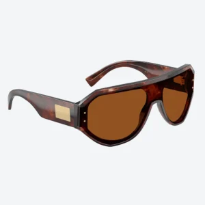 DG4481 Tortoise