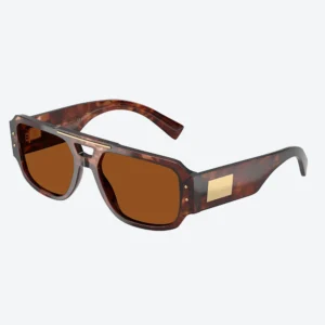 DG4482 Tortoise