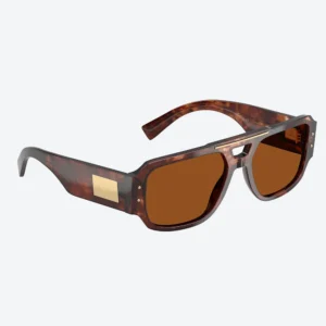 DG4482 Tortoise