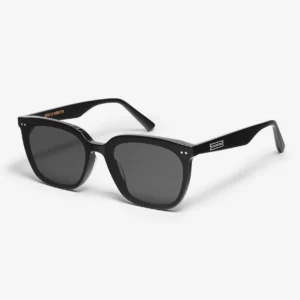 Heizer 01