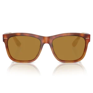 BC4003S Amber Tortoise / Brown