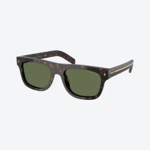 PR B12S Tortoise