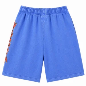Godspeed Skater Graphic Shorts Blue