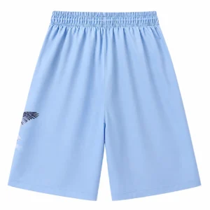 Trapstar Flying Bird Satin Shorts Sky Blue